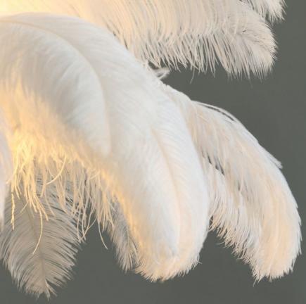 Dodatak za dom - Puhasto drevo visoko, gosto perje